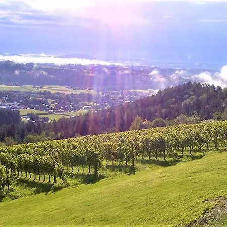 Genuss Am Familien Weingut *