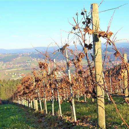 Genuss Am Familien Weingut Krottendorf bei Ligist
