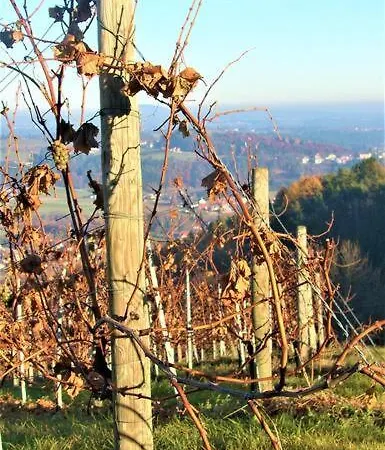 Genuss Am Familien Weingut *