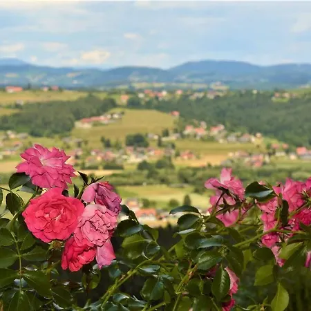 Genuss Am Familien Weingut Apartmán Krottendorf bei Ligist