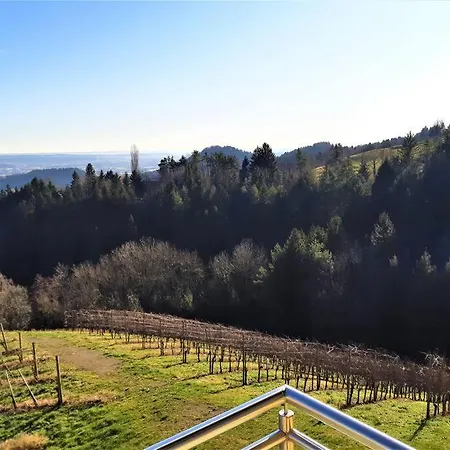 Genuss Am Familien Weingut *