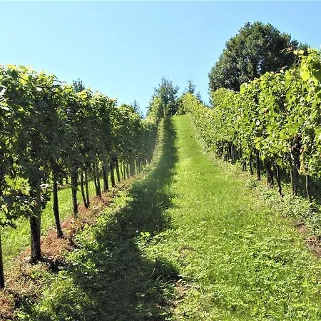 Genuss Am Familien Weingut Apartmán