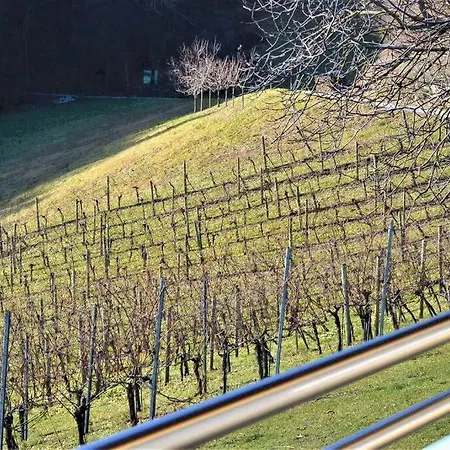 Genuss Am Familien Weingut Krottendorf bei Ligist