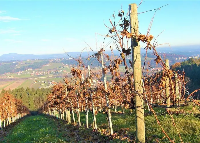 Genuss Am Familien Weingut Krottendorf bei Ligist