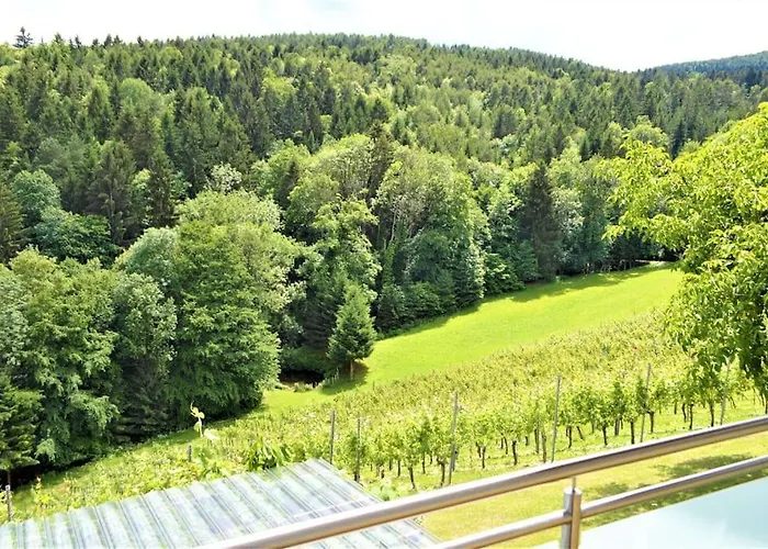 Genuss Am Familien Weingut Lägenhet *