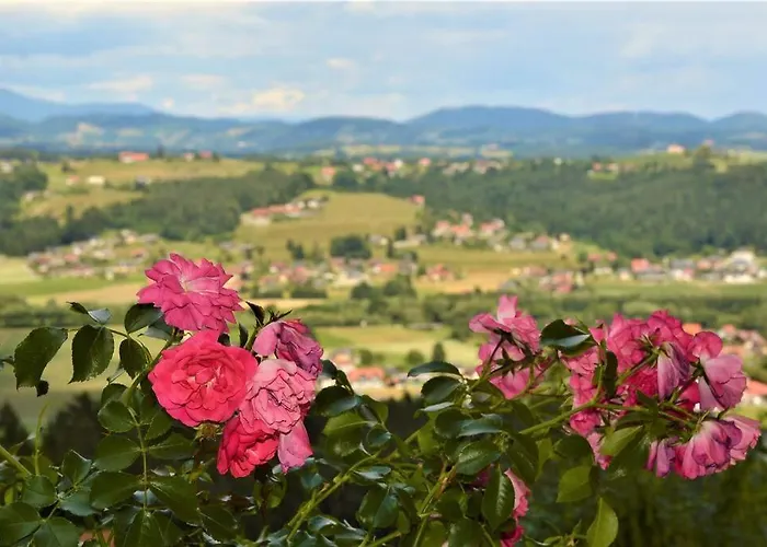 Genuss Am Familien Weingut Lägenhet Krottendorf bei Ligist