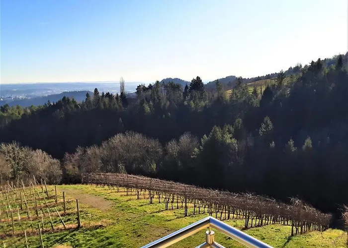 Genuss Am Familien Weingut *