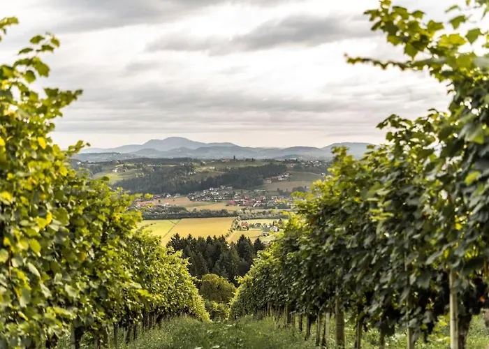 Lägenhet Genuss Am Familien Weingut Krottendorf bei Ligist