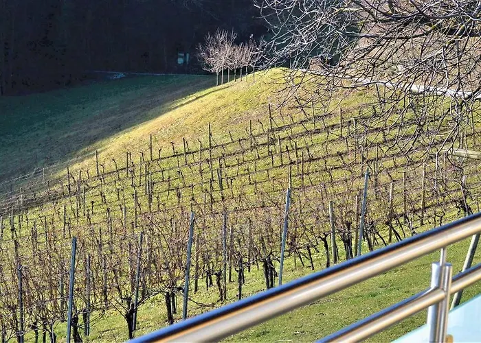 Genuss Am Familien Weingut Krottendorf bei Ligist
